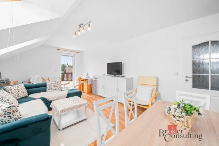 Prodej rodinného domu, Plzeň - Újezd, třída Vojtěcha Rojíka, 322 m2