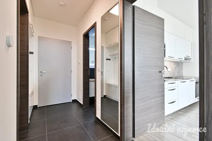 Pronájem bytu 2+kk, Brno, Menšíkova, 60 m2