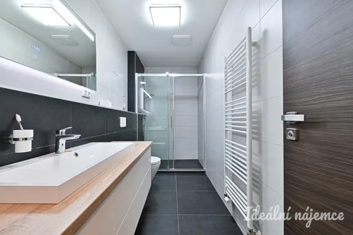 Pronájem bytu 2+kk, Brno, Menšíkova, 60 m2
