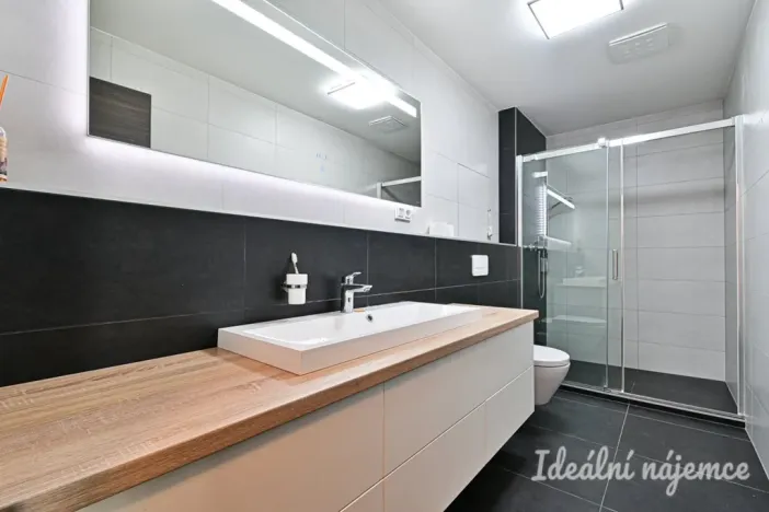 Pronájem bytu 2+kk, Brno, Menšíkova, 60 m2