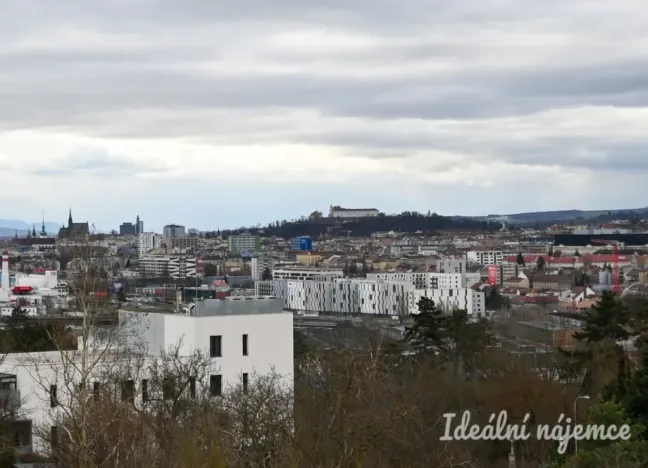 Pronájem bytu 2+kk, Brno, Menšíkova, 60 m2