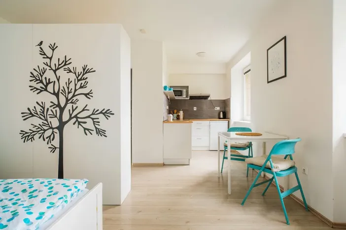 Prodej apartmánu, Staré Město - Stříbrnice, 450 m2