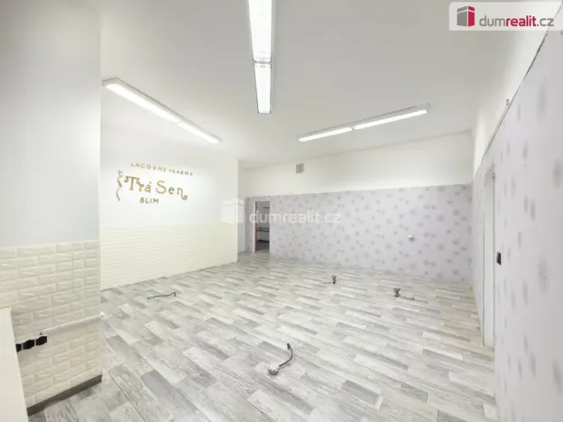 Pronájem obchodního prostoru, České Budějovice - České Budějovice 2, J. Opletala, 216 m2