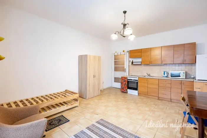 Pronájem bytu 1+kk, Praha - Žižkov, Jana Želivského, 30 m2