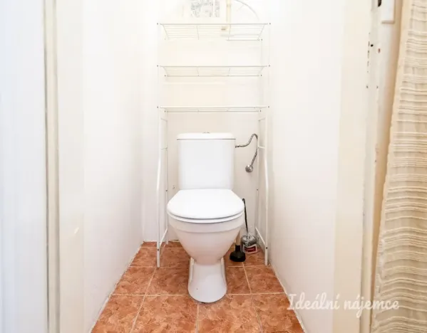 Pronájem bytu 1+kk, Praha - Žižkov, Jana Želivského, 30 m2