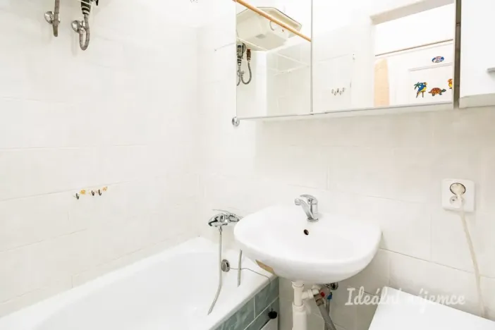 Pronájem bytu 1+kk, Praha - Žižkov, Jana Želivského, 30 m2