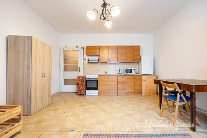 Pronájem bytu 1+kk, Praha - Žižkov, Jana Želivského, 30 m2
