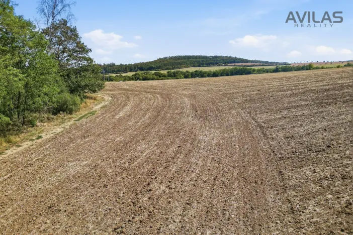 Prodej pozemku pro bydlení, Babice u Rosic, 4169 m2