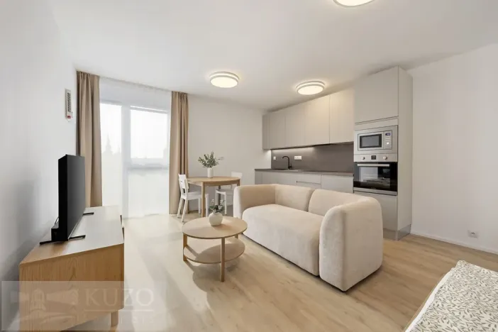 Pronájem bytu 1+kk, Brno, Auerswaldova, 38 m2
