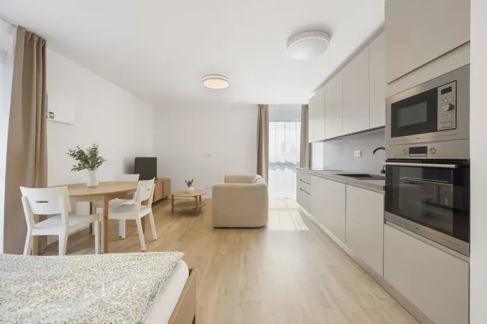 Pronájem bytu 1+kk, Brno, Auerswaldova, 38 m2