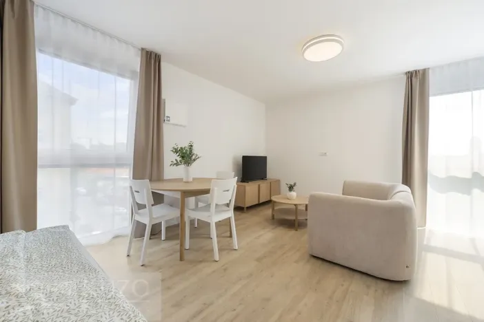 Pronájem bytu 1+kk, Brno, Auerswaldova, 38 m2