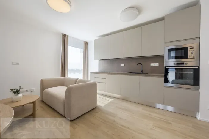Pronájem bytu 1+kk, Brno, Auerswaldova, 38 m2
