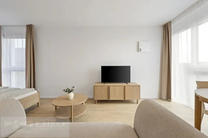 Pronájem bytu 1+kk, Brno, Auerswaldova, 38 m2