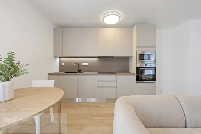 Pronájem bytu 1+kk, Brno, Auerswaldova, 38 m2