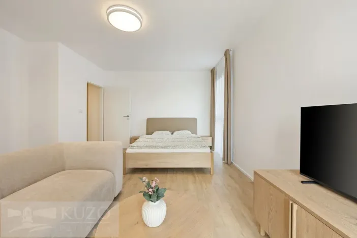 Pronájem bytu 1+kk, Brno, Auerswaldova, 38 m2