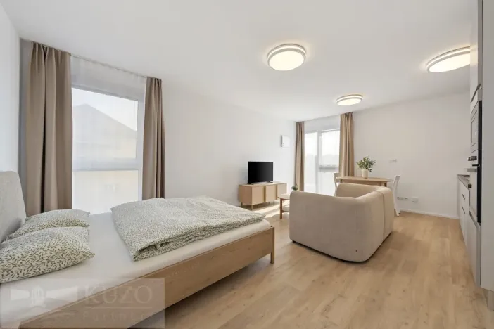 Pronájem bytu 1+kk, Brno, Auerswaldova, 38 m2