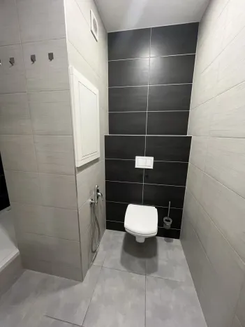 Pronájem bytu 1+1, Olomouc, Tovární, 33 m2
