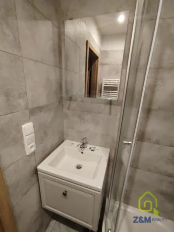 Pronájem bytu 1+kk, Chodov, Čapkova, 20 m2