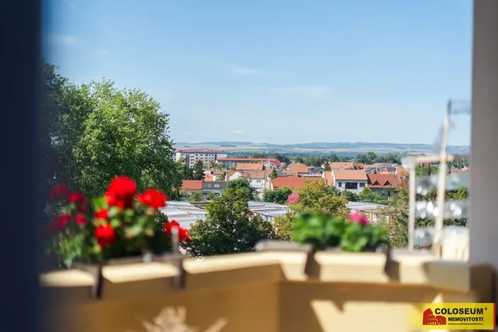 Prodej bytu 3+kk, Veselí nad Moravou, 54 m2