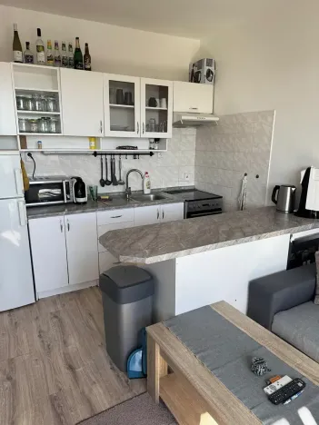 Prodej podílu bytu 1+1, Česká Lípa, Komenského, 45 m2