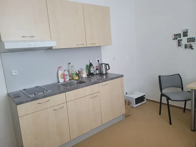 Pronájem bytu 1+kk, Brno, Vídeňská, 30 m2