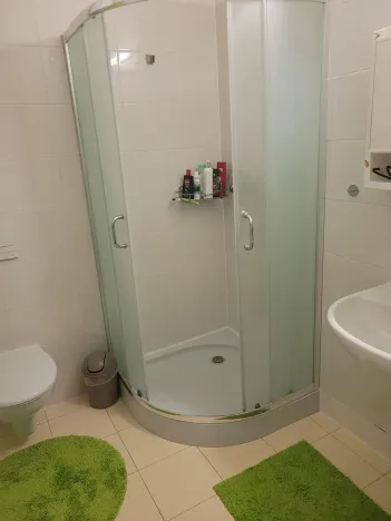 Pronájem bytu 1+kk, Brno, Vídeňská, 30 m2