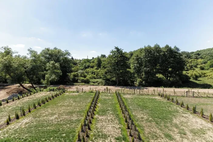 Pronájem bytu 1+kk, Slaný, Lázeňská, 34 m2