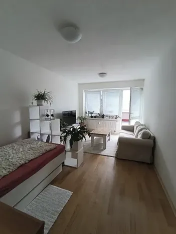 Pronájem bytu 2+1, Liberec, Jeronýmova, 66 m2
