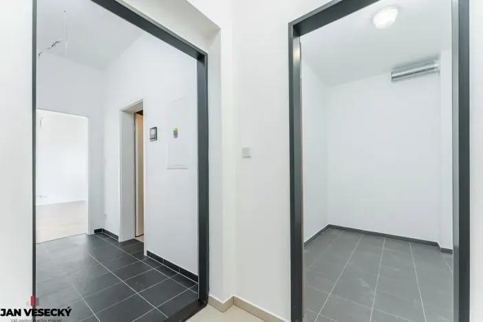 Prodej bytu 1+kk, Plzeň, Železná, 34 m2