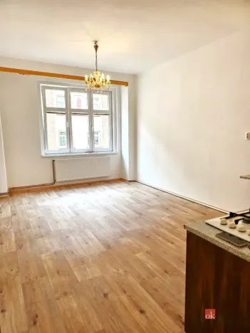 Pronájem bytu 2+kk, Plzeň - Jižní Předměstí, Vrchlického, 52 m2