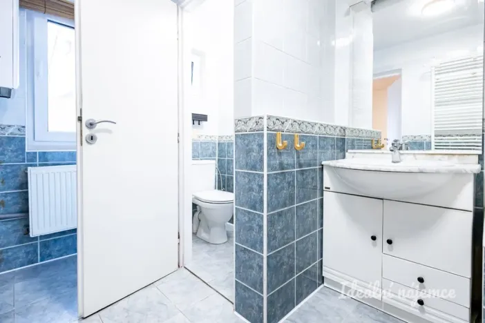 Pronájem bytu 4+kk, Brandýs nad Labem-Stará Boleslav, Železná, 140 m2