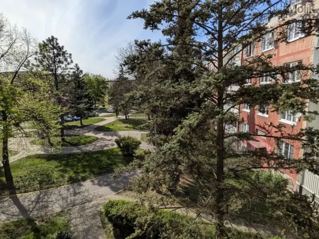 Prodej bytu 2+1, Bílina - Teplické Předměstí, M. Švabinského, 59 m2