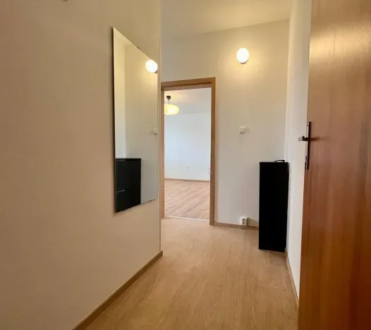 Pronájem bytu 1+1, Praha - Michle, U Botiče, 38 m2