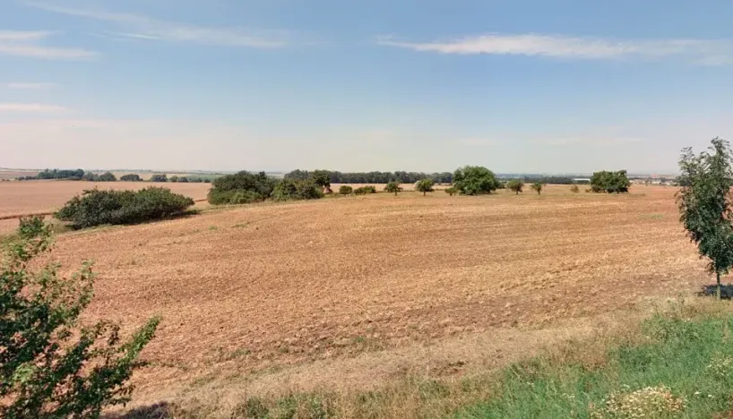 Prodej pole, Velvary, 1156 m2