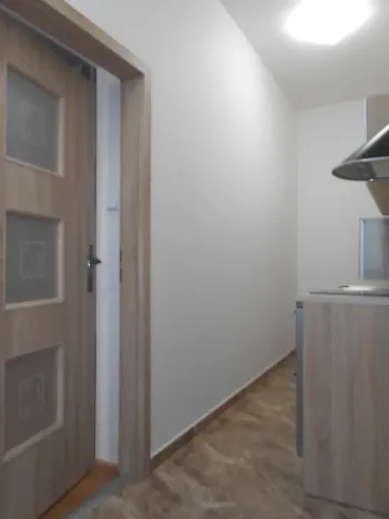 Pronájem bytu 1+kk, Praha - Žižkov, Hájkova, 40 m2