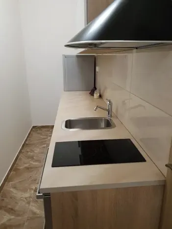Pronájem bytu 1+kk, Praha - Žižkov, Hájkova, 40 m2