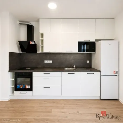 Pronájem bytu 1+kk, Plzeň - Jižní Předměstí, Železná, 28 m2