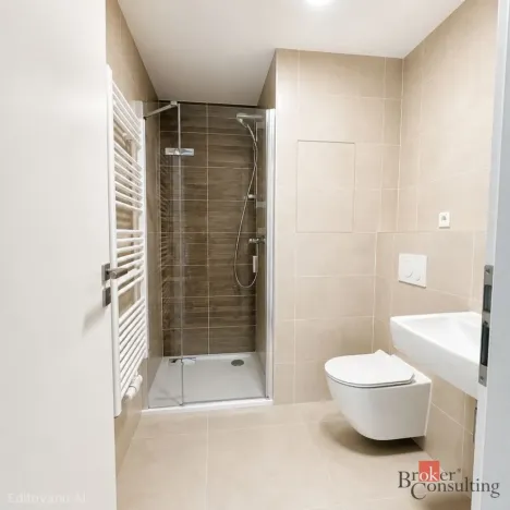 Pronájem bytu 1+kk, Plzeň - Jižní Předměstí, Železná, 28 m2