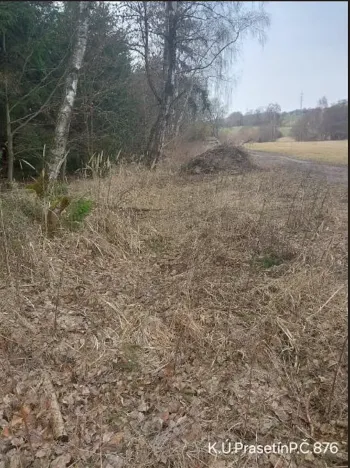 Prodej lesa, Dolní Hořice, 3279 m2