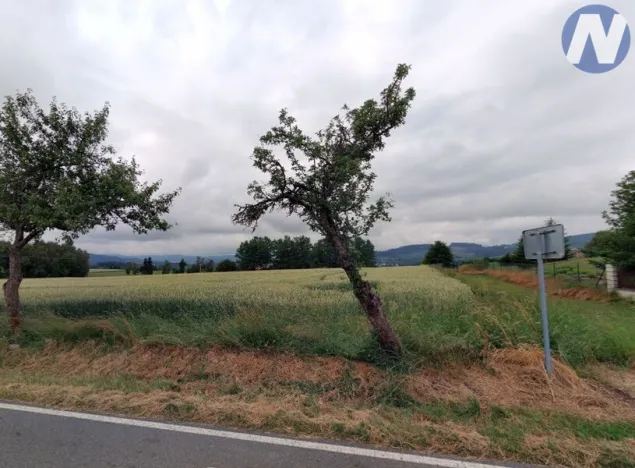 Prodej pozemku pro bydlení, Vrbice, 7124 m2