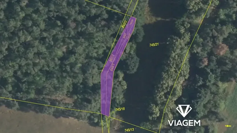 Prodej lesa, Sudovo Hlavno, 361 m2