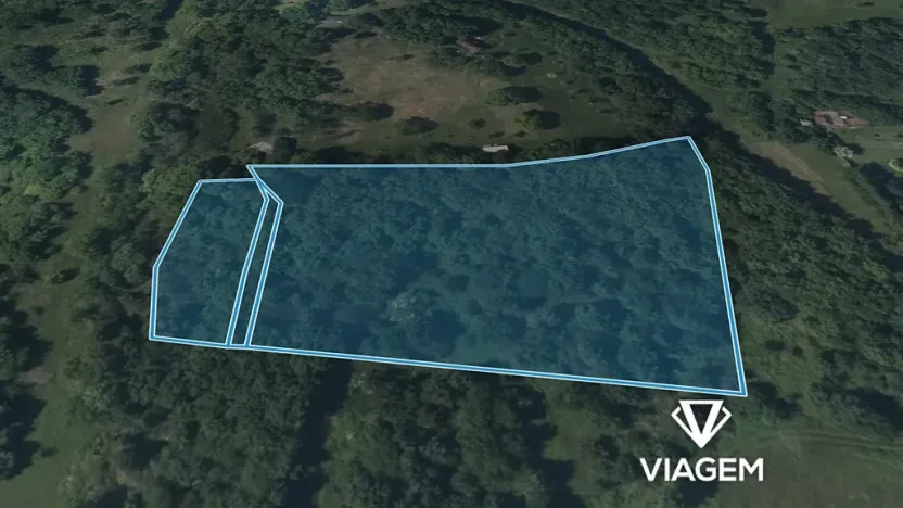 Prodej podílu lesa, Žitenice, 1311 m2