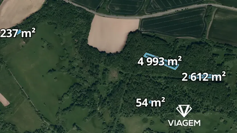 Prodej lesa, Kravaře, 7896 m2
