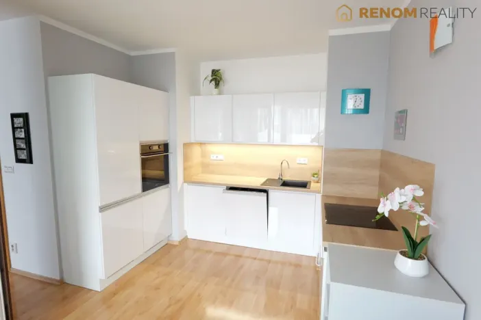 Prodej bytu 1+kk, Olomouc, Rooseveltova, 46 m2