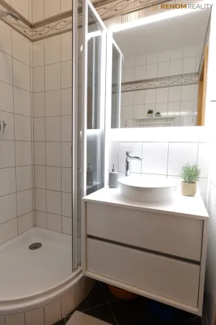 Prodej bytu 1+kk, Olomouc, Rooseveltova, 46 m2