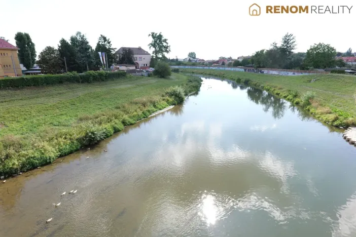 Prodej bytu 1+kk, Olomouc, Rooseveltova, 46 m2