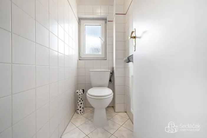 Prodej vícegeneračního domu, Svatava, Pobřežní, 260 m2