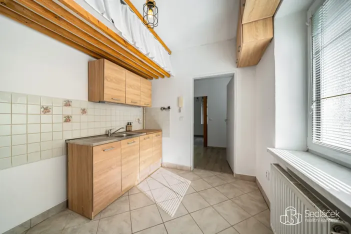 Prodej vícegeneračního domu, Svatava, Pobřežní, 260 m2