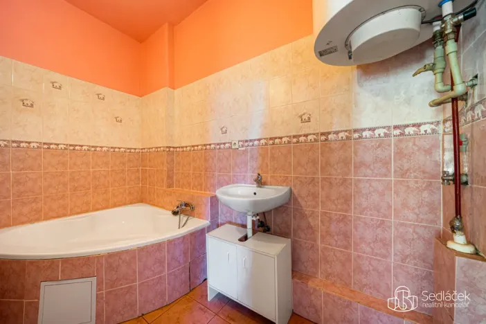 Prodej vícegeneračního domu, Svatava, Pobřežní, 260 m2