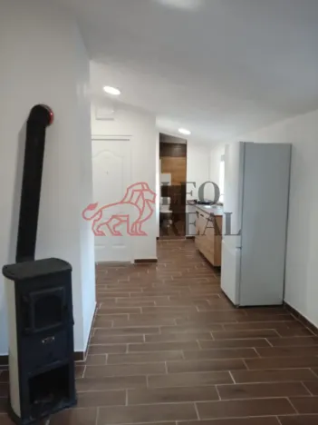 Pronájem bytu 1+kk, Provodín - Srní u České Lípy, 23 m2
